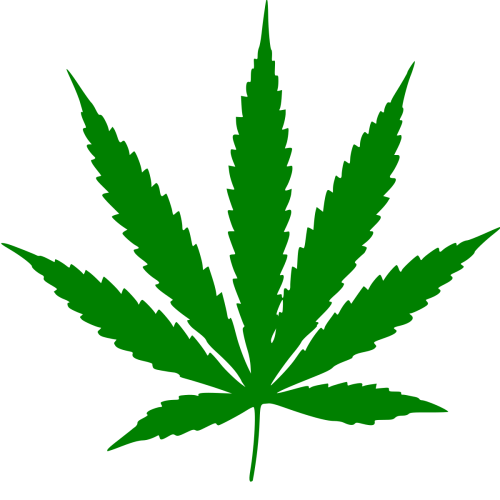 Cannabis_leaf.svg